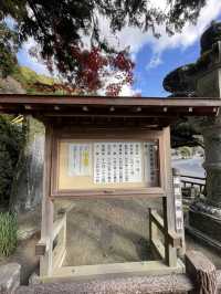 【福岡】九州のお伊勢さん