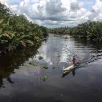 TANJUNG PUTING, CENTRAL KALIMANTAN