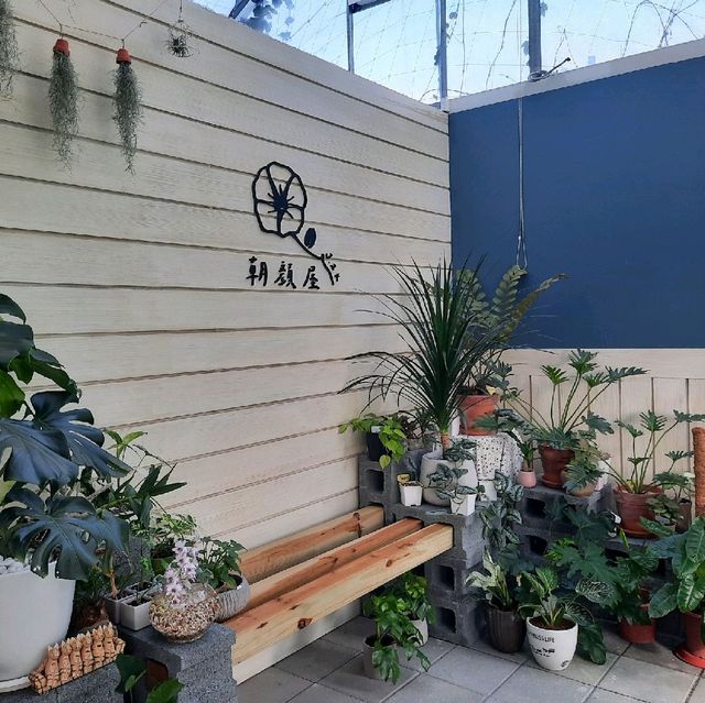 【桃園】田園咖啡廳|下午茶約會|朝顏屋3.2K