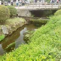 【山梨県】忍野八海