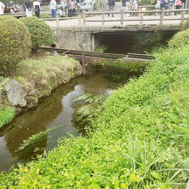 【山梨県】忍野八海
