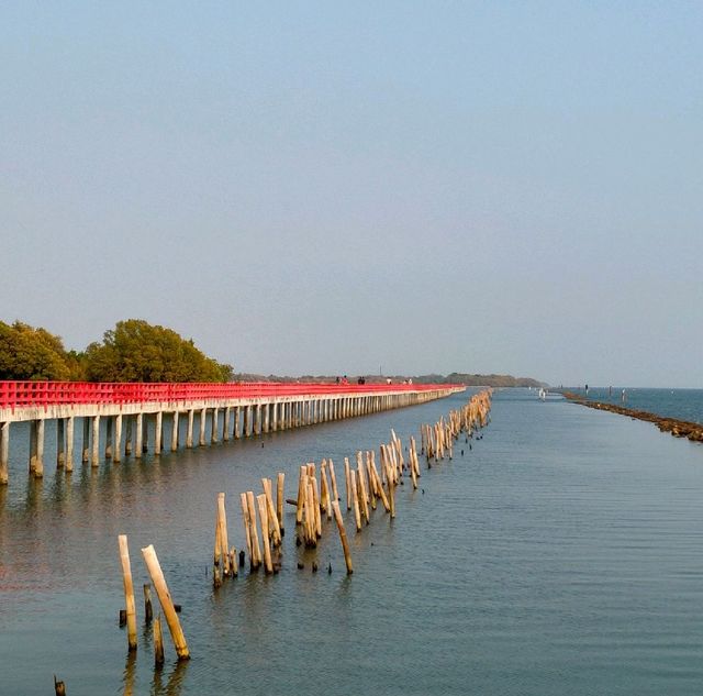 สะพานแดงศาลมัจฉานุ