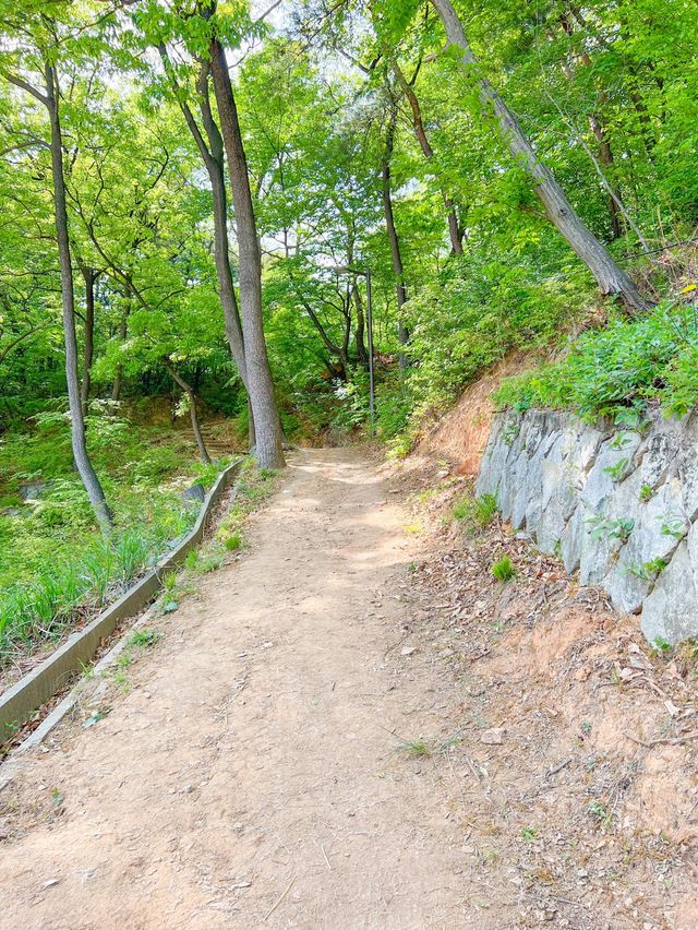 전주의 시골감성 가득한 꽃동산 가는길