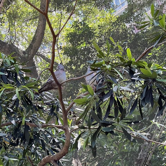 尤德觀鳥園@香港公園