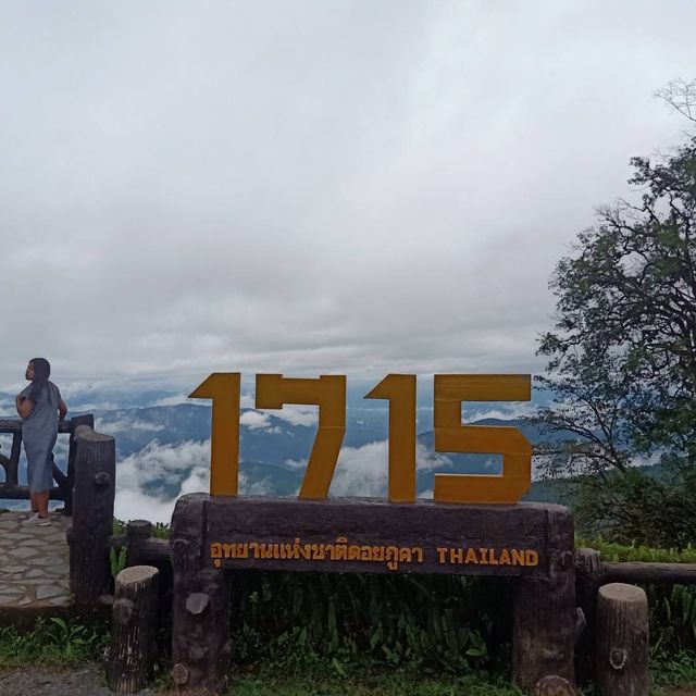 จุดชมวิวอุทยานแห่งชาติดอยภูคา