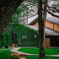 คาเฟ่ที่มีวิวสวนสวยๆ สีเขียวๆสลายตาสุดๆ