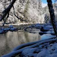 A Snowy Wonderland At Twin Falls