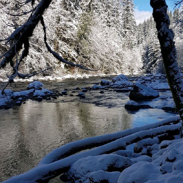 A Snowy Wonderland At Twin Falls