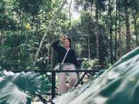 พามาหลงป่า ที่คาเฟ่ในเมืองศรีสะเกษ
