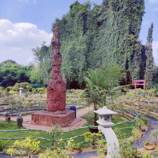 Amazing Garden with so much Greenery. 