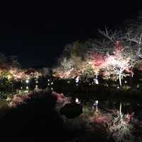 【京都府】東寺で平安時代に思いを馳せる