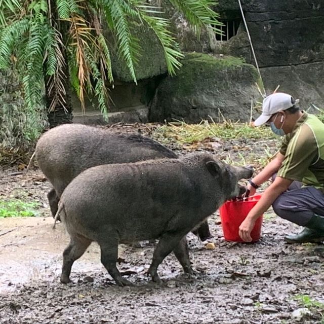 台北市立動物園