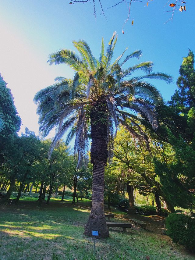 한라수목원 🌲 제주도 가을 피크닉