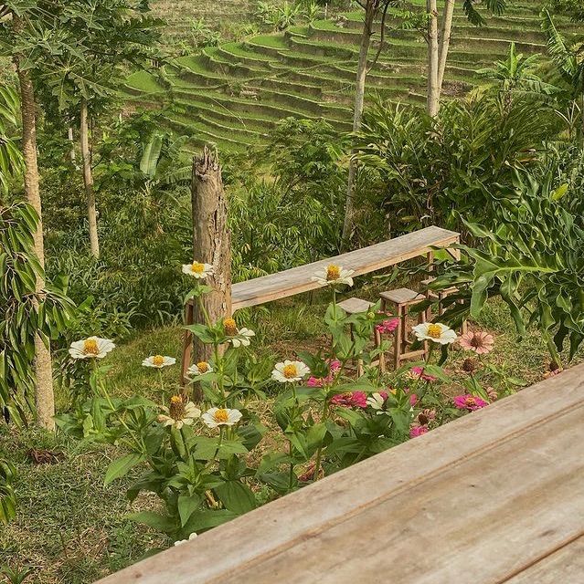 Sakala Coffee