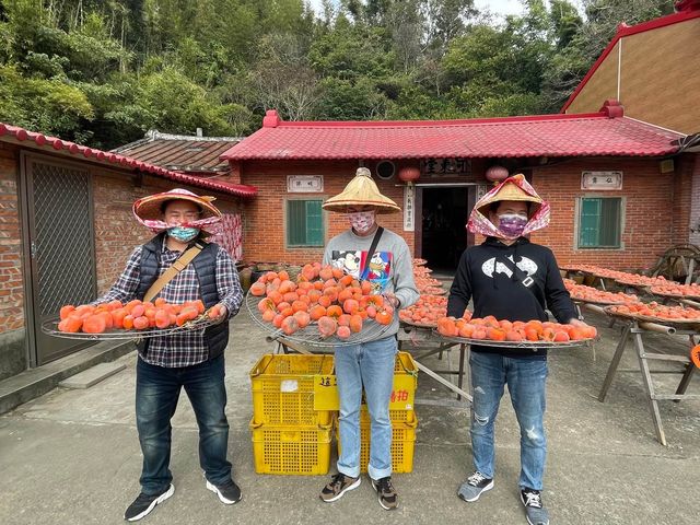 新竹晒柿美景～味衛佳柿餅光觀光農場