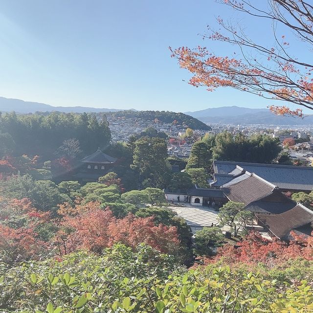 銀閣寺🍁