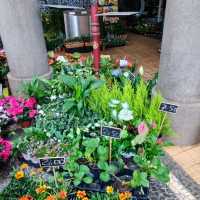 Farmers Market