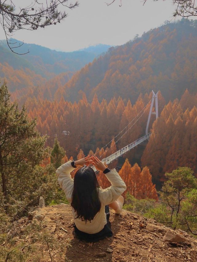 가을에 꼭 가야하는 장태산자연휴양림 🍁