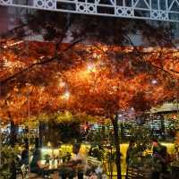 Cafe Kreams in Autumn🍂🍂