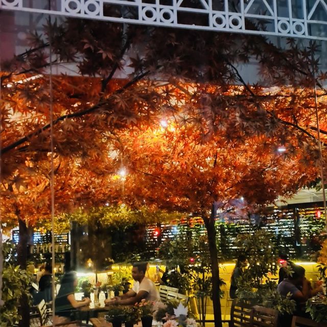 Cafe Kreams in Autumn🍂🍂