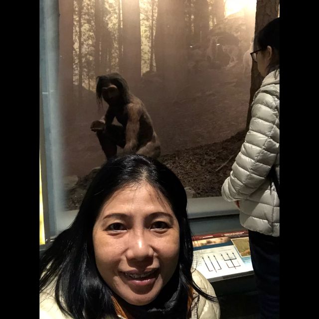 มาเที่ยว American Museum of Natural History ค่ะ