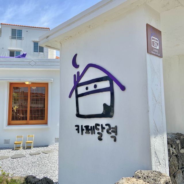 제주 분위기 뿜뿜한 애월 카페달력🍊🗓️