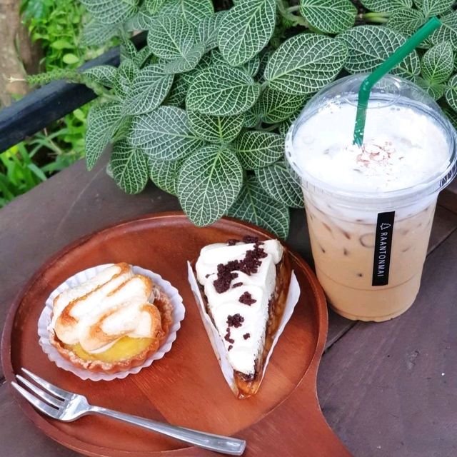 coffee • eatery • plant