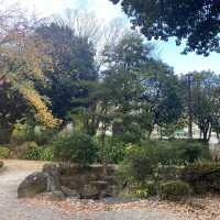 下園公園看紅葉
