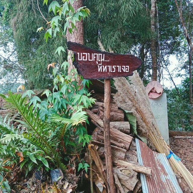 ไปจิบกาแฟแลภูเขาบ้านปางขอนที่ไร่กาแฟครอบครัวมะ