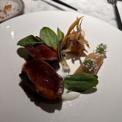 VIRTUS張用戶圖片