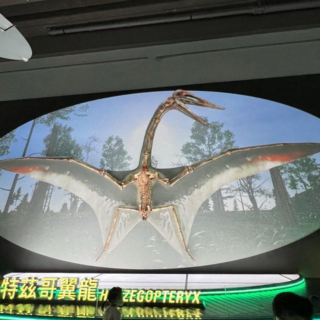 八大·尋龍🦖記