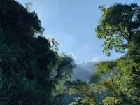 雲林秘境-嘉南雲峰南登山口步道