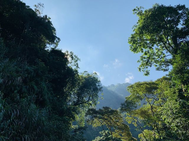 雲林秘境-嘉南雲峰南登山口步道