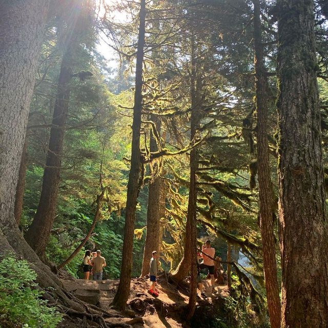 Girdwood Forest Fair