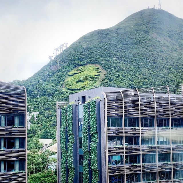/香港渡假🏝🏖海洋公園萬豪酒店-客房篇/