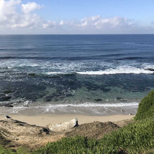 바다사자를 볼 수 있는 해변 ✨