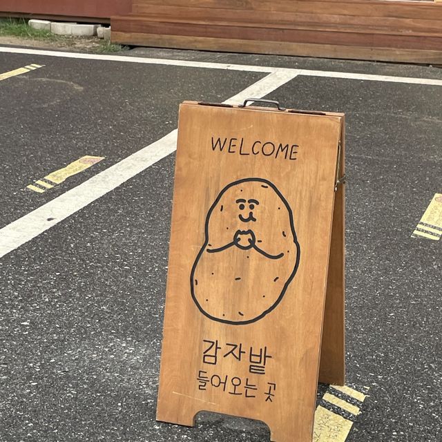 춘천 가면 꼭 가야하는! 카페, 감자밭 ᴗ̈ 