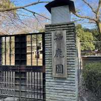【静岡】源頼朝が戦勝祈願したパワースポット「三嶋大社」