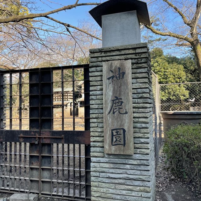 【静岡】源頼朝が戦勝祈願したパワースポット「三嶋大社」