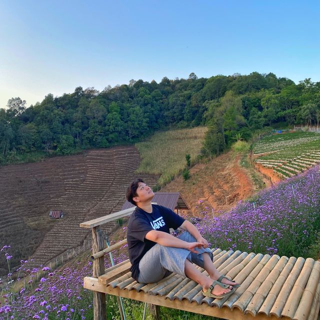 [태국] 치앙마이 일몰 명소, 몬쨈