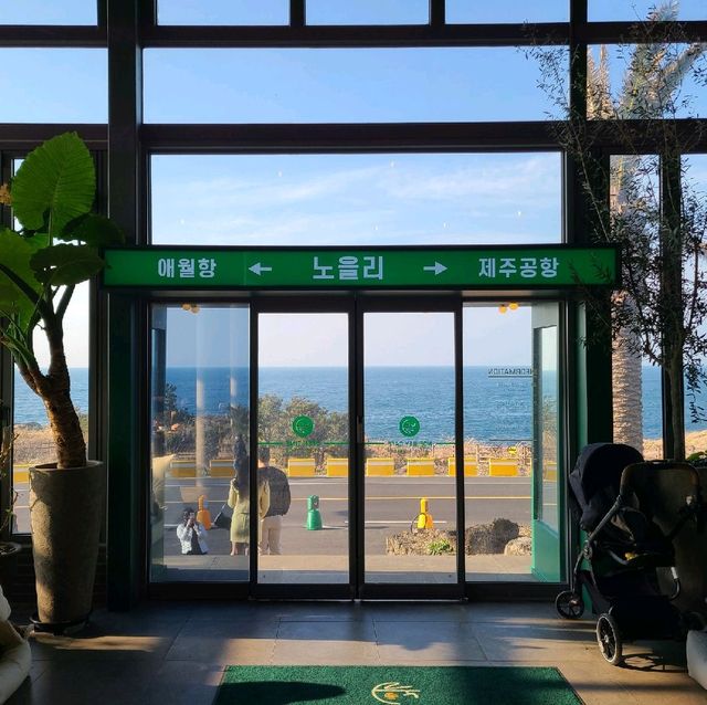 제주 애월 오션뷰+식물원+베이커리 카페 어디?