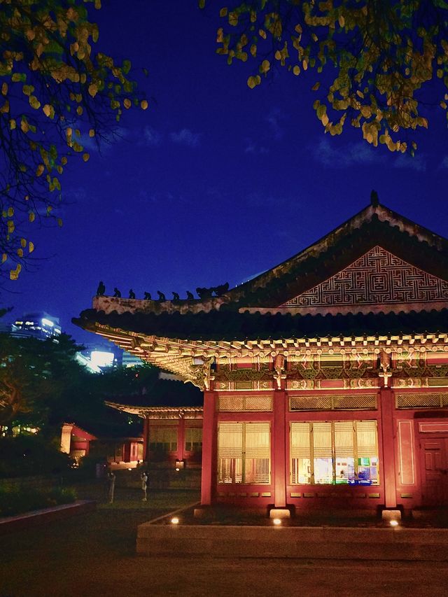 궁궐의 재발견, 서울 도심의 낭만 덕수궁✨