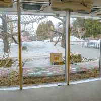 冬の円山動物園の展望レストハウス