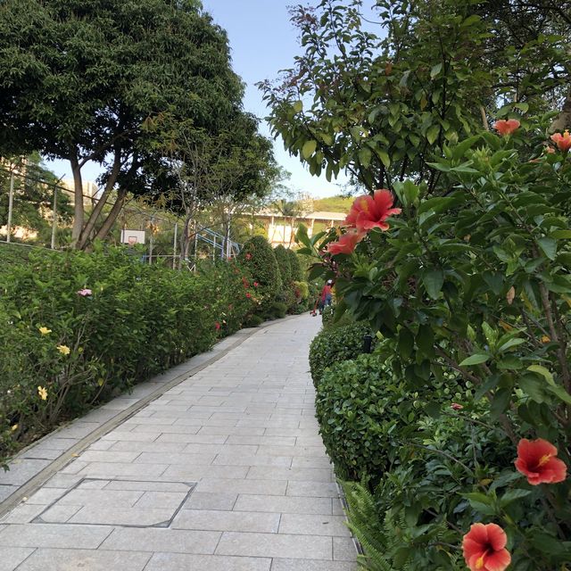 🌲荃灣後花園🌹尋找復活兔🐰
