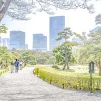 春の浜離宮の入り口