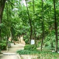☘️트립닷컴×보코서울강남과 함께한 환경의 날🍀