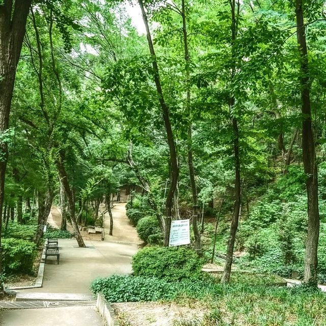 ☘️트립닷컴×보코서울강남과 함께한 환경의 날🍀