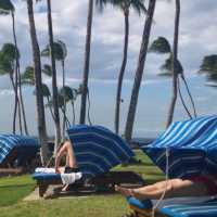 世界級的渡假村🏖️｜給你獨特的夏威夷體驗🌴