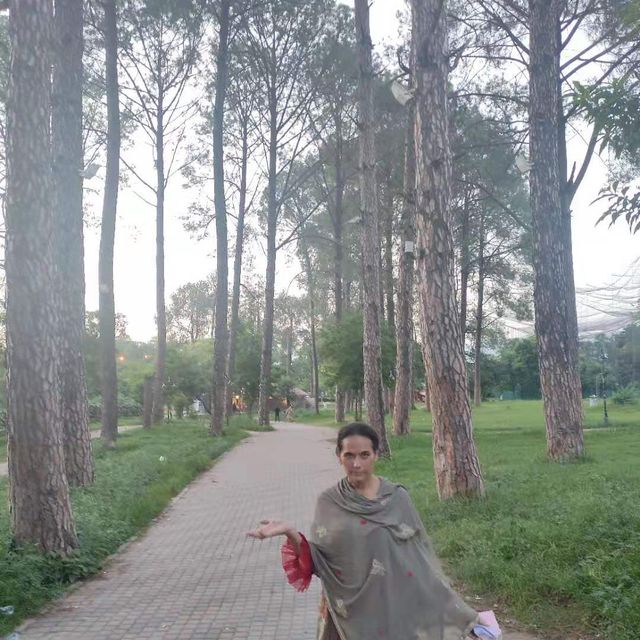 Sunset in the Park