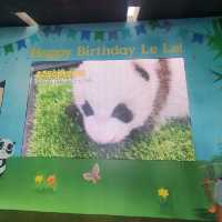 See baby panda Le Le at River Wonders!